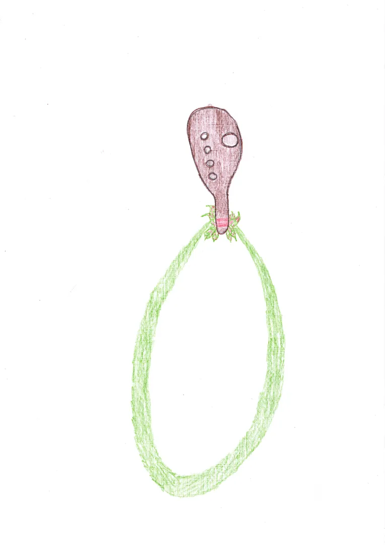 Desenho de Sivaldo Prypôc